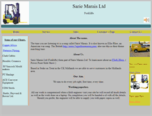 Tablet Screenshot of forklifts.sariemarais.com